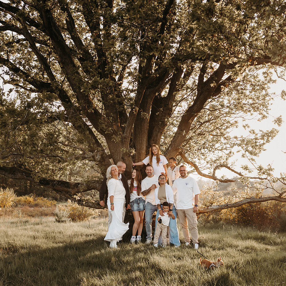 foto van een familie onder een mooie boom tijdens golden hour