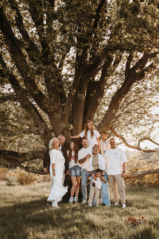 foto van een familie onder een mooie boom tijdens golden hour