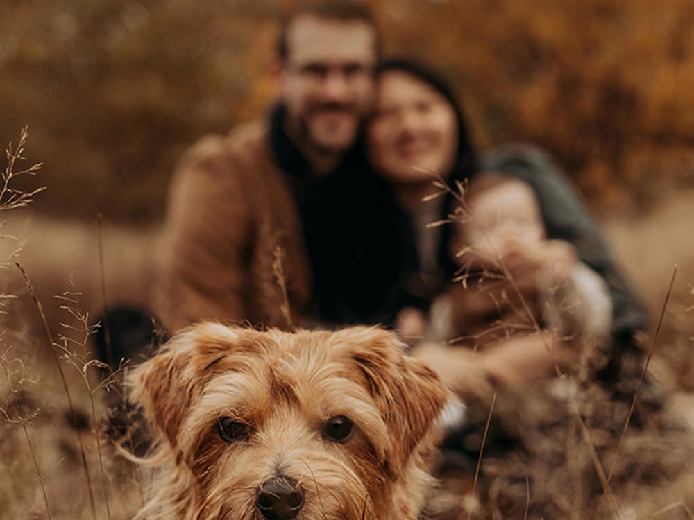 foto van een gezin van drie en een hond tijdens een gezinsfotoshoot buiten