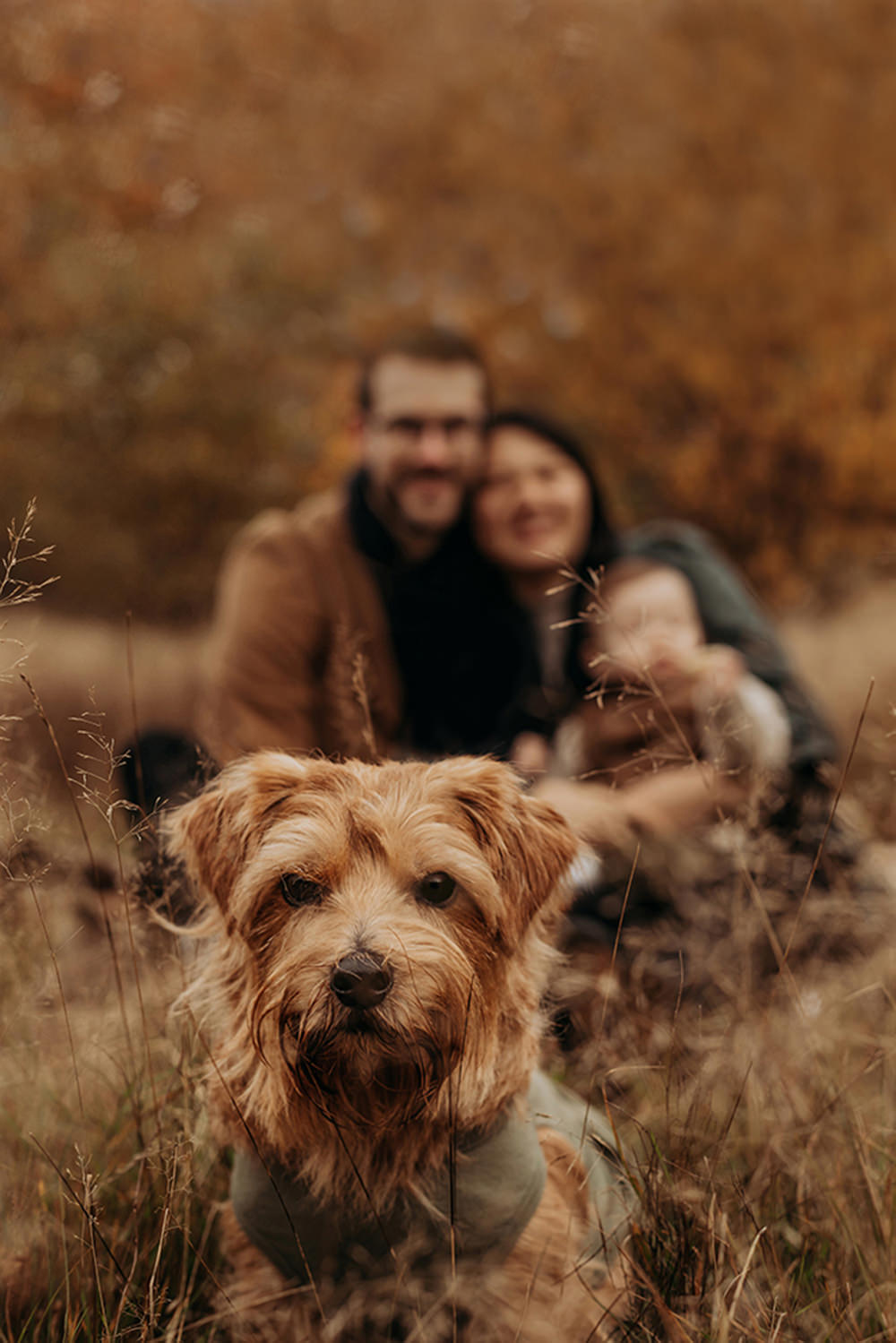 foto van een gezin van drie en een hond tijdens een gezinsfotoshoot buiten